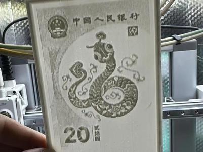 Embossed 3D printed 20th Snake Year commemorative, can be made into an embossed lamp