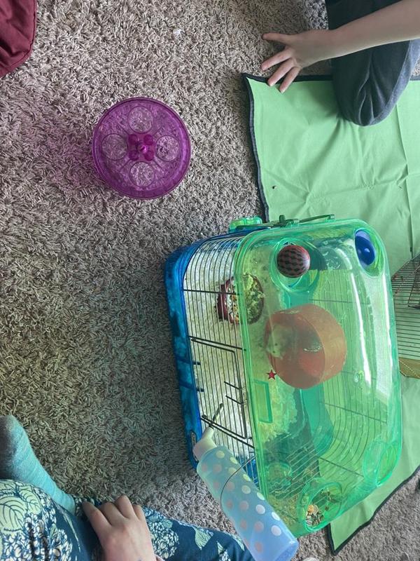 Hamster wheel with ball bearing