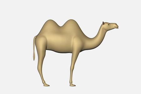 bactrian_camel