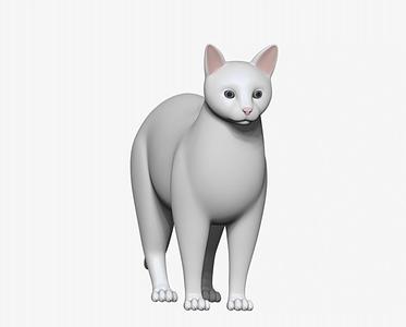 cat