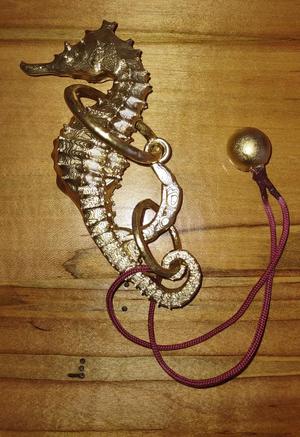 seahorse puzzle remove the string. 