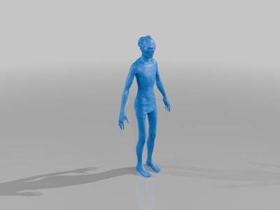 walker model