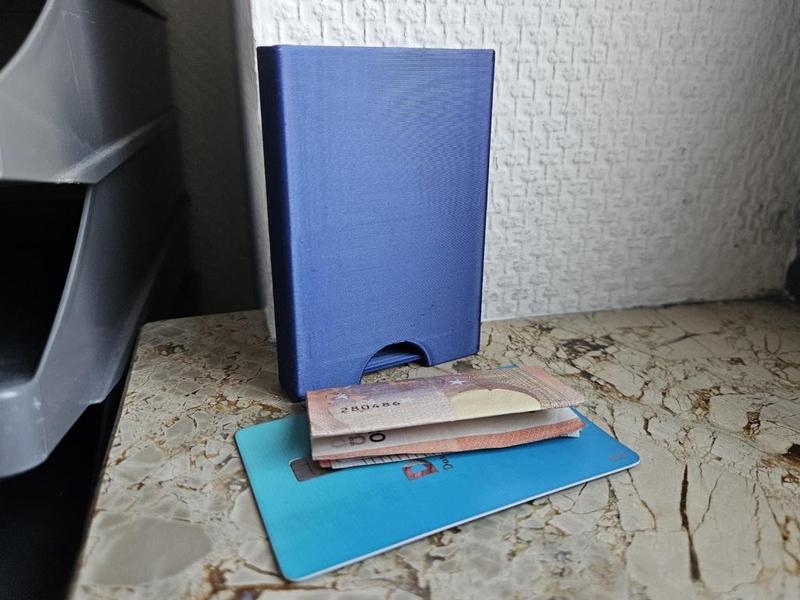 Slim Wallet (Cash and Card, V2)