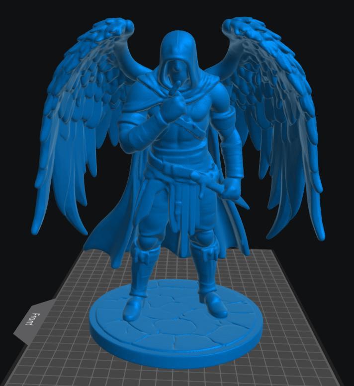 Aasimar Rogue Male 4