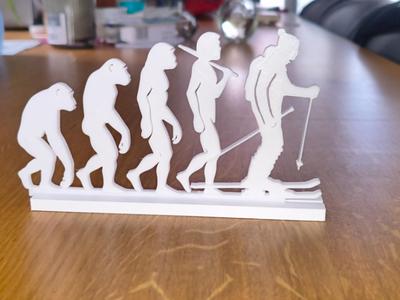 Evolution of Human- Alpine Skier Edition