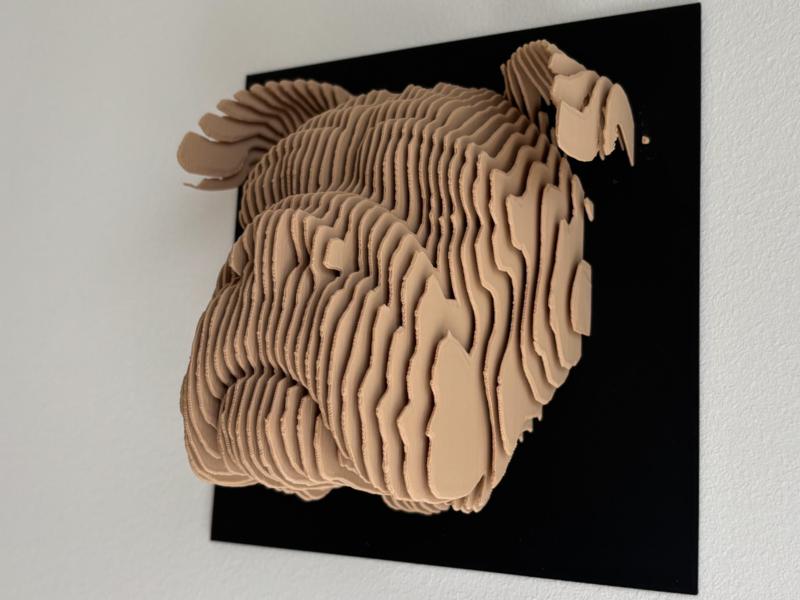 Bulldog layered sculpture