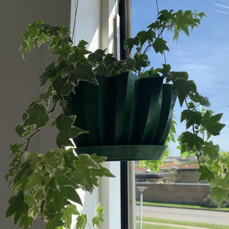 Hanging pot for climbing plant