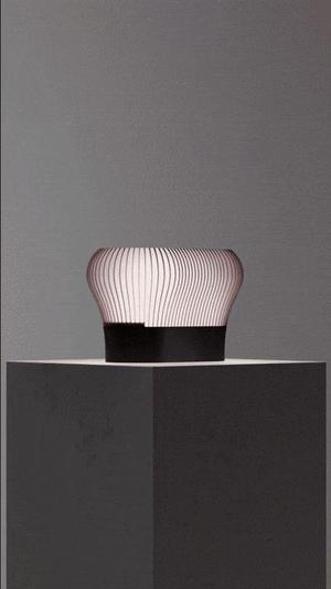 Aesthetic Lamp. Dual Colour RGB for Mixed Shades 