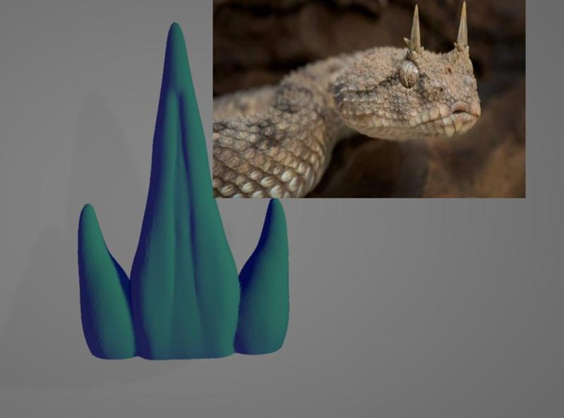 Horned viper Horns