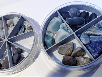Petri Dish Small Parts Organizer Insert