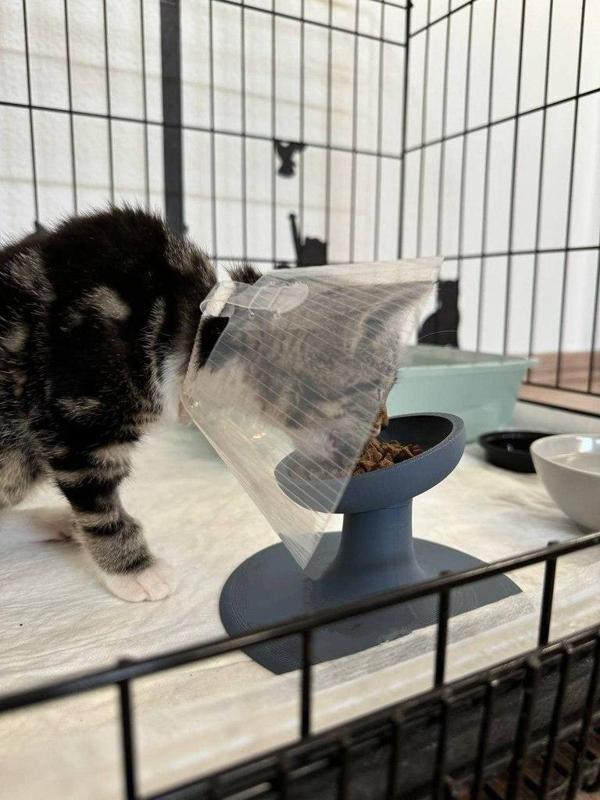 Extra-durable bowl for cats and kittens