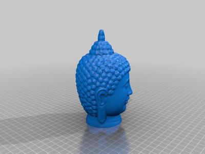 Buddha revopoint mini