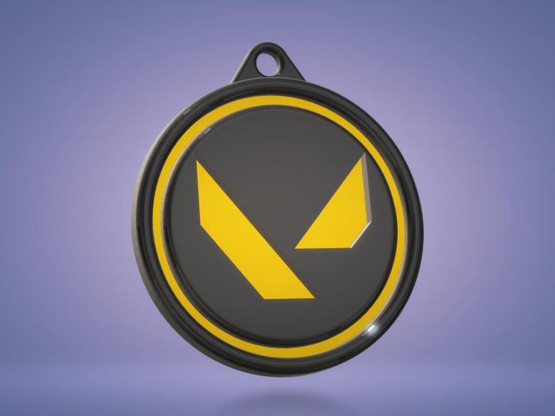 Valorant Coin Gun Buddy