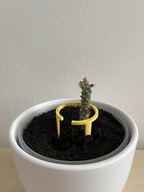 Stackable plant support