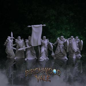 Birchwood Vale Citadel Guard