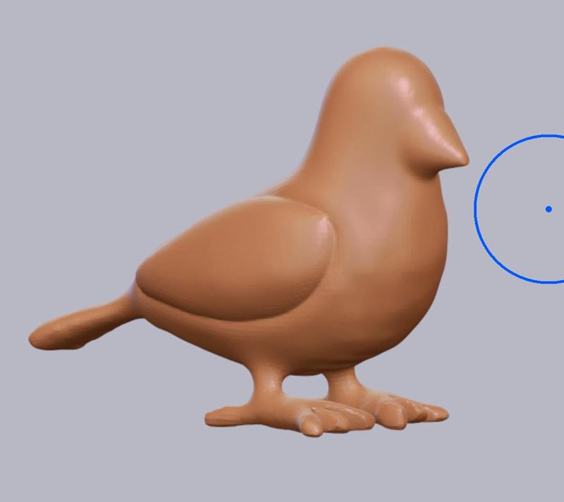 Base Bird Model