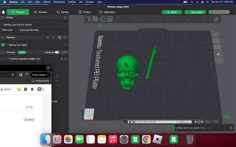 phineas gage skull and rod.