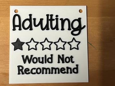 adulting would not recommend wall art 