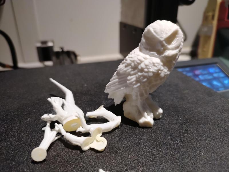 Snowy Owl (3D Scan)
