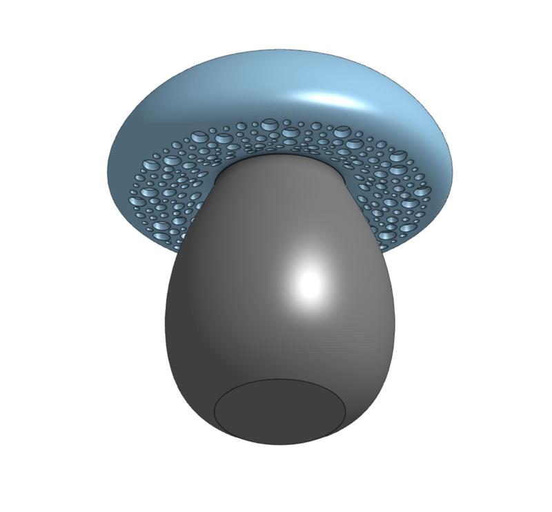 Empty threaded Boletus