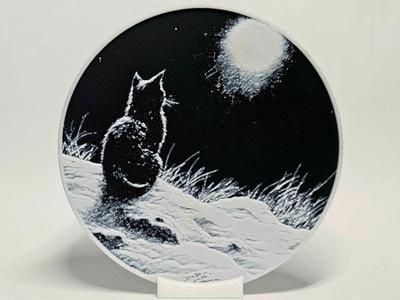 Kitten looking at the Moon - Coaster