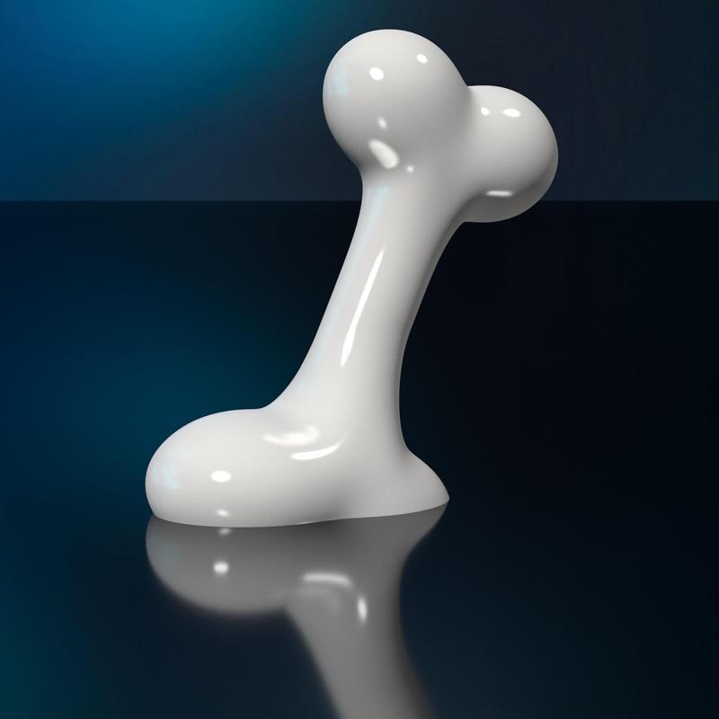 Decorative Dog Bone 3D Printing Model High-Polygon