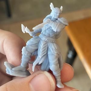 Tirok  the wood elf rogue