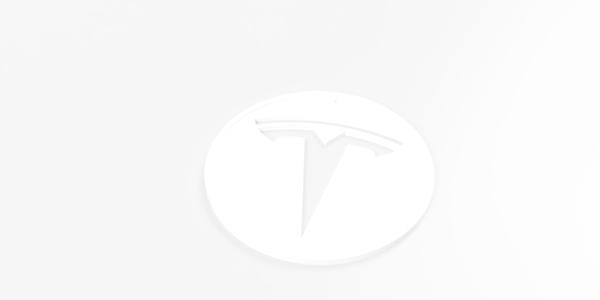 Tesla přívěsek vyseknutý