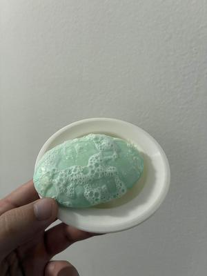 Soap Tray for Dorm
