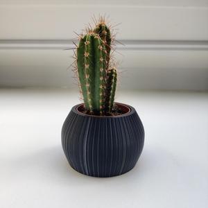 small modern plant pots