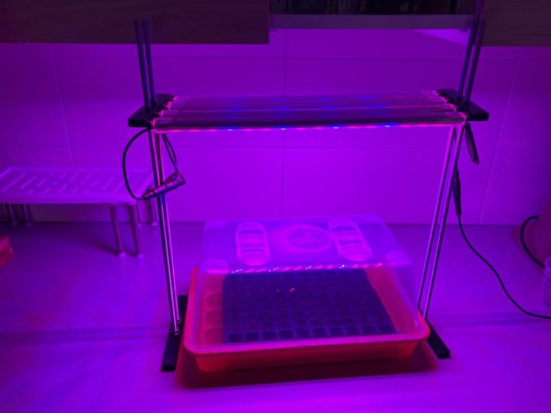 Seedling growth LED support