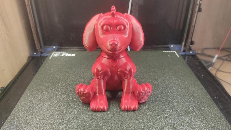 Cute Dog