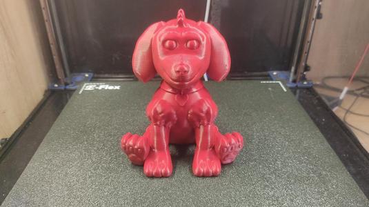 Cute Dog