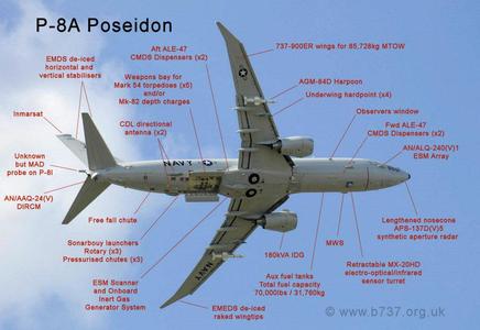 P8 Accessories