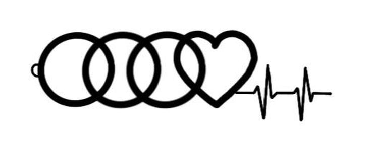 audi logo life