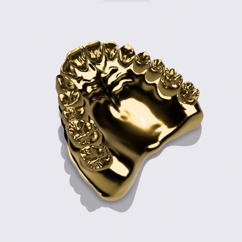 GUELLER DENTAL MODEL