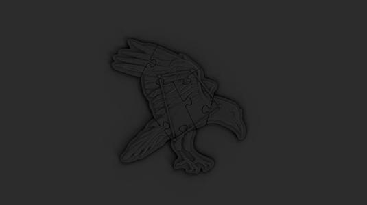 Crow constellation puzzle