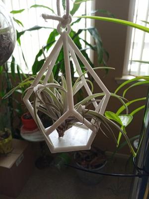 Geometric Plant Hanger