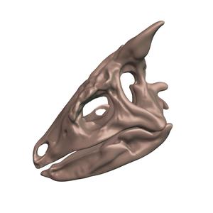 Scelidosaurus harrisonii