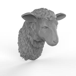 Sheep Head