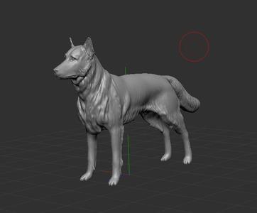 German Shepherd German shepherd
