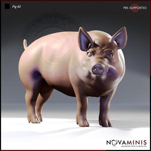 Pig 02