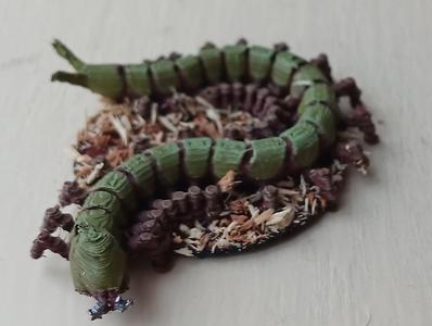 Giant Caterpillar on 25mm Base for D&D