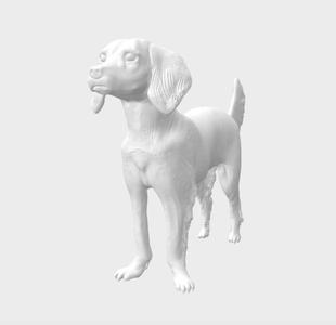 English Springel spaniel dog