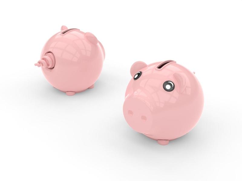 TwistyPig Piggy bank 🐷