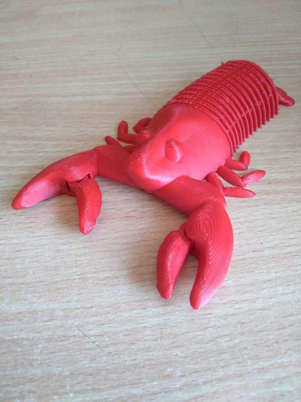 Flexi Sea Lobster