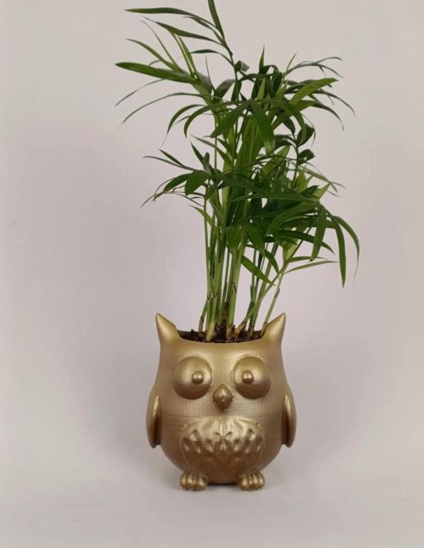 cute owl planter