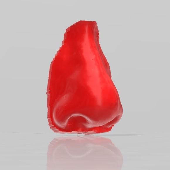 Human's nose model