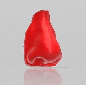 Human's nose model
