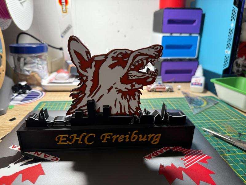 EHC freiburg with skyline of Freiburg Icehockey